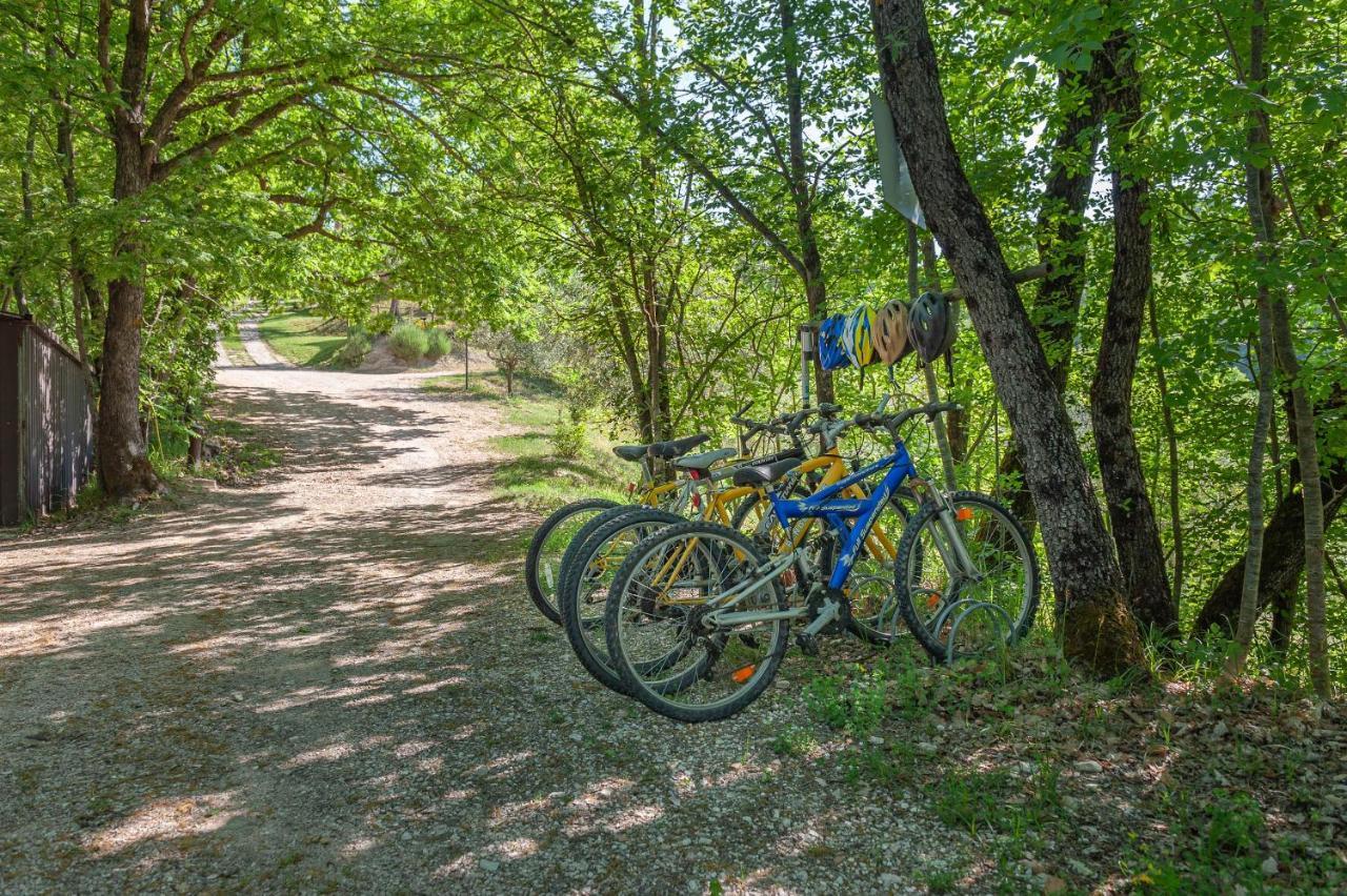 Agriturismo Le Dolci Colline Valfabbrica Dış mekan fotoğraf